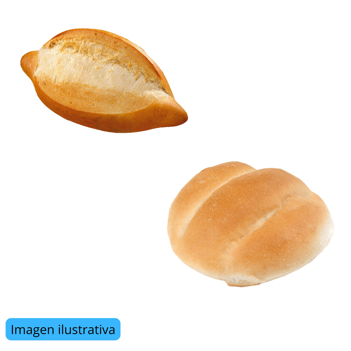 Pan Bolillo/Telera