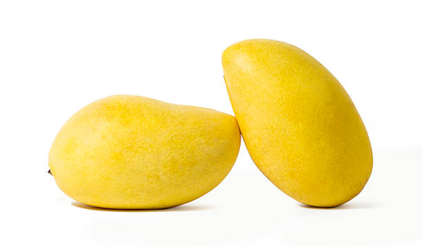 Mango Manila Por kg