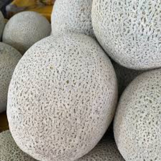 Melon Torreon Por kg