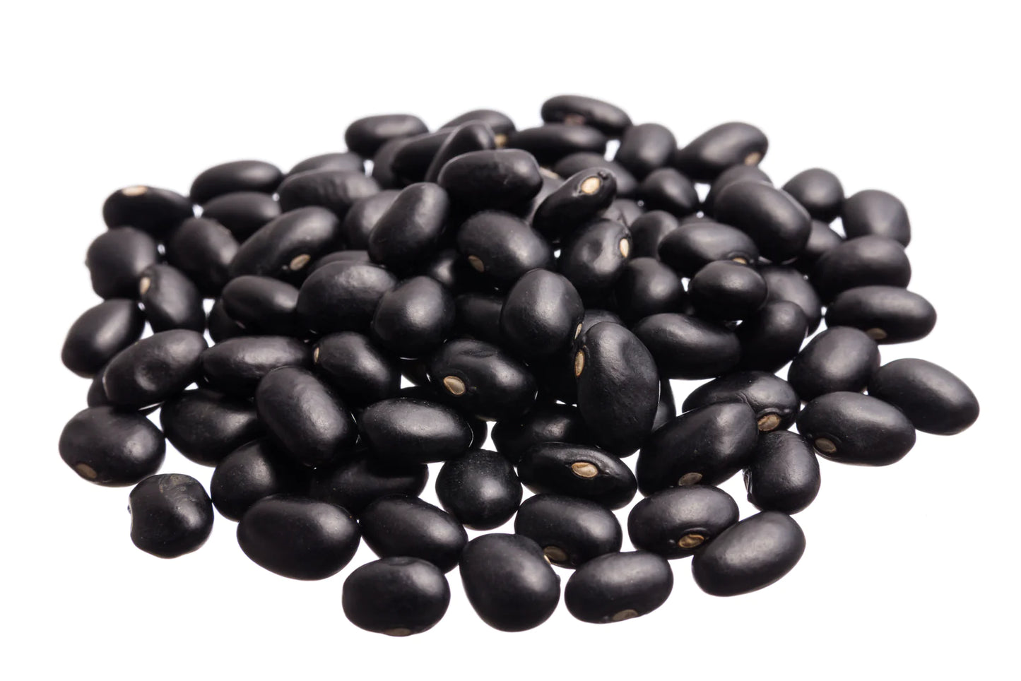 Frijol Negro San Luis 500 g