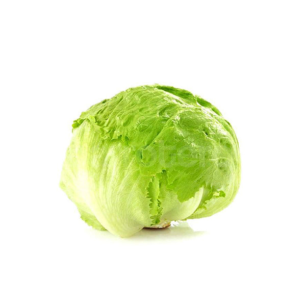 Lechuga Romana Mediana Pieza